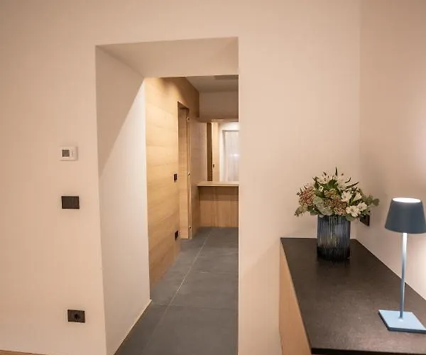 S1 Luxury And Appartement Triëst