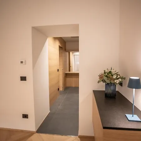 S1 Luxury And Appartement Triëst